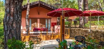 Camping Lacona Pineta