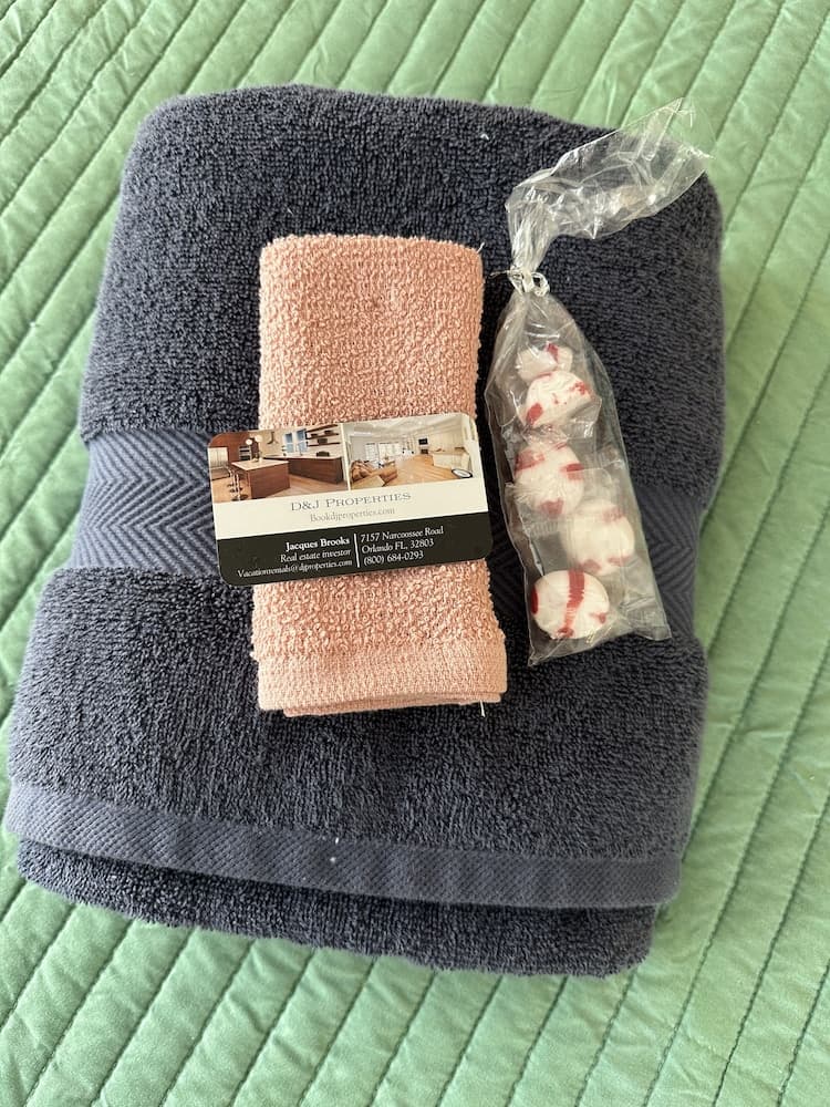 Modern Tropical Downtown Orlando