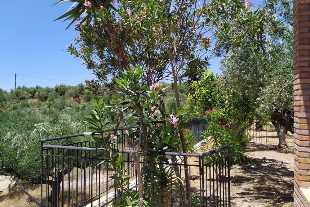 Little Country hut Mikri Eleni