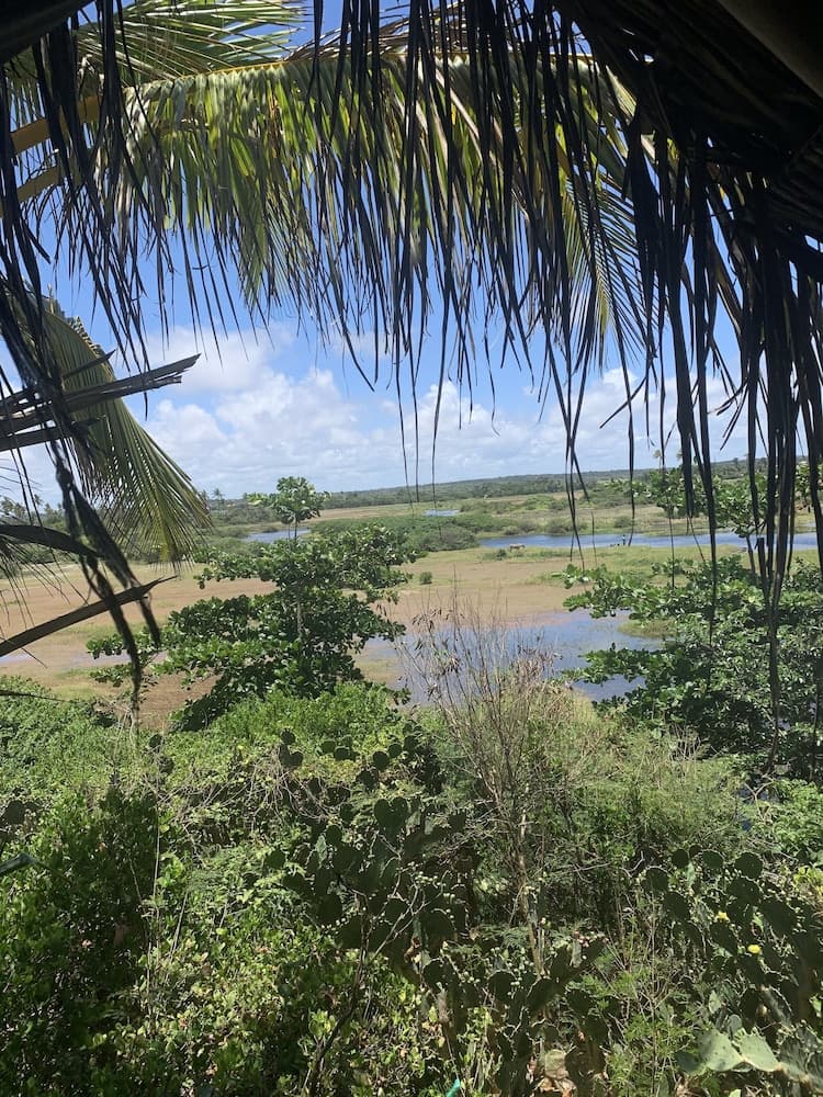 Beach Camping Brazil