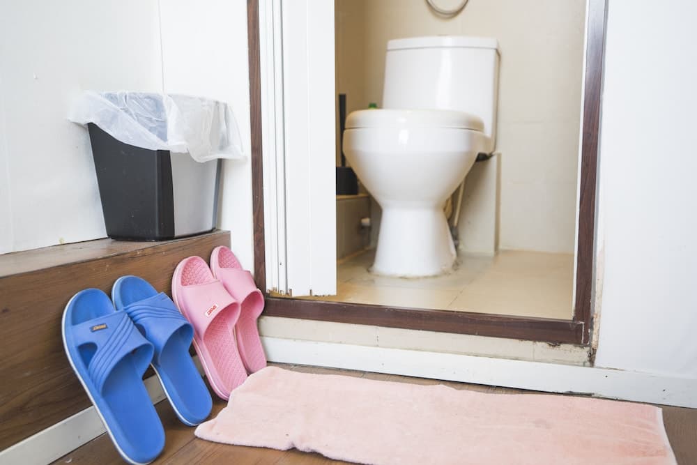 The Cultural Crashpad