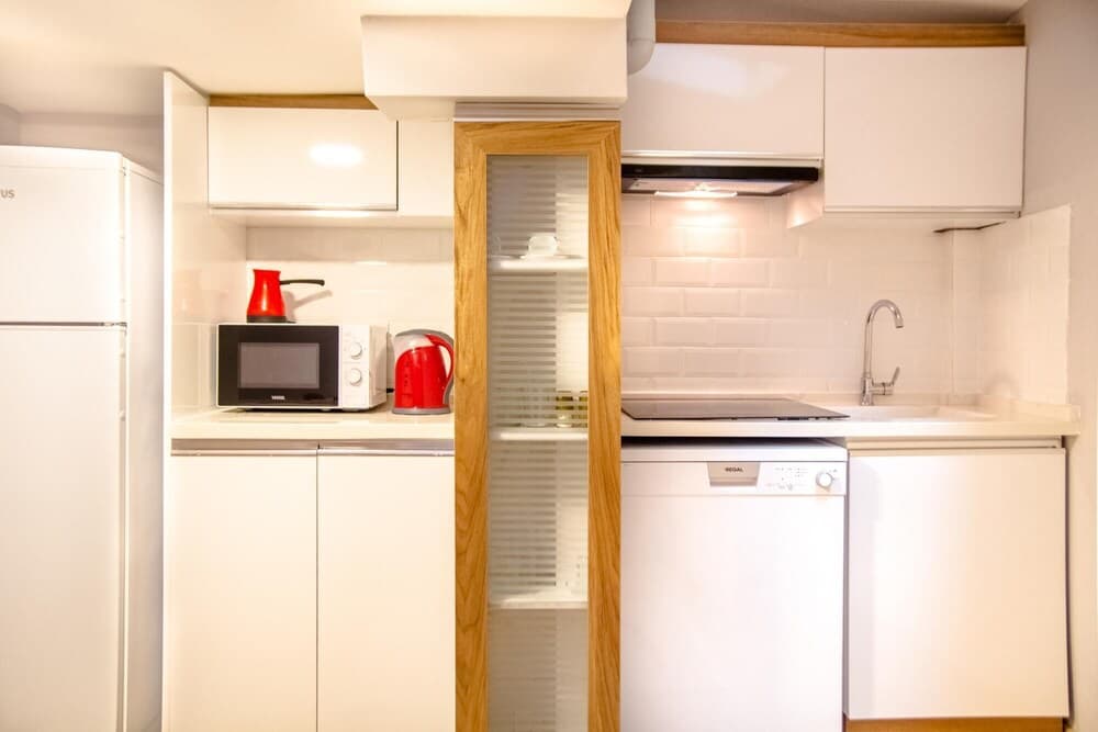 Centrally Located Fully Furnished Flat in Konak