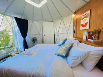 papa q suite resorts