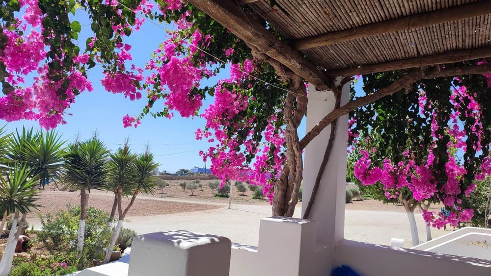 Michalios Luxury Apartments