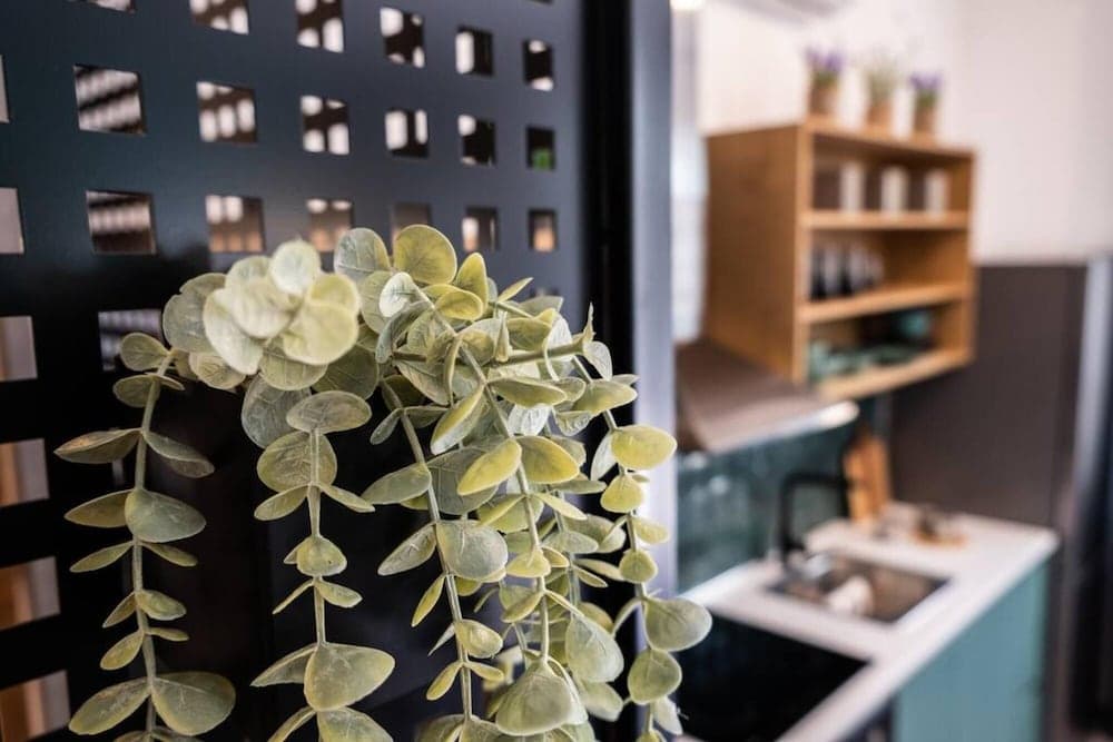 Casa d oro 56 Living in Paradisi Rhodes