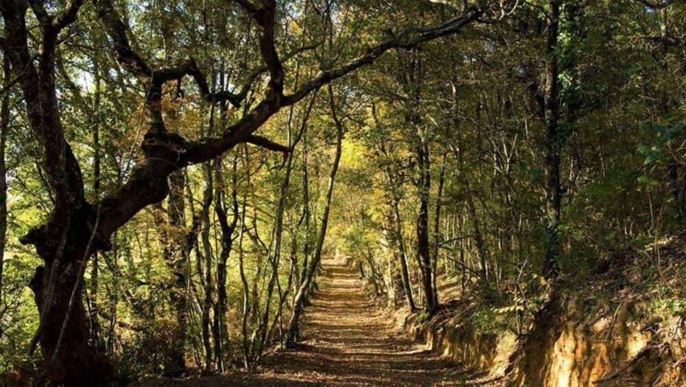 Splendid Luxury Villa Inside a Large Estate Heated Private Pool-villa DEL Cammino