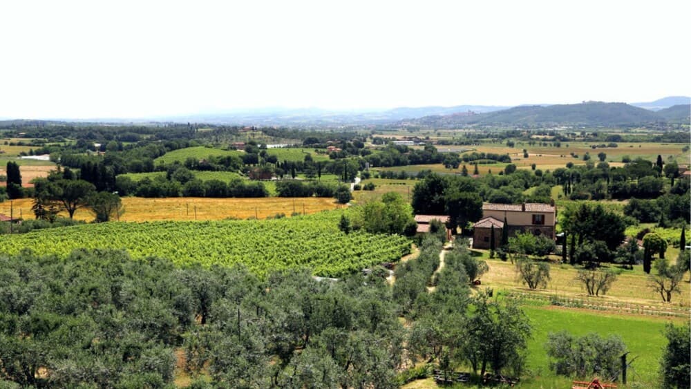 La Villa a Charming Villa With Swimming Pool-la Villa