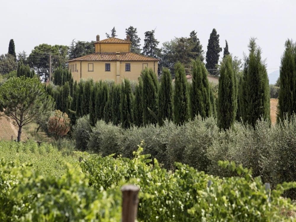 -villa Alfredo in Cortona