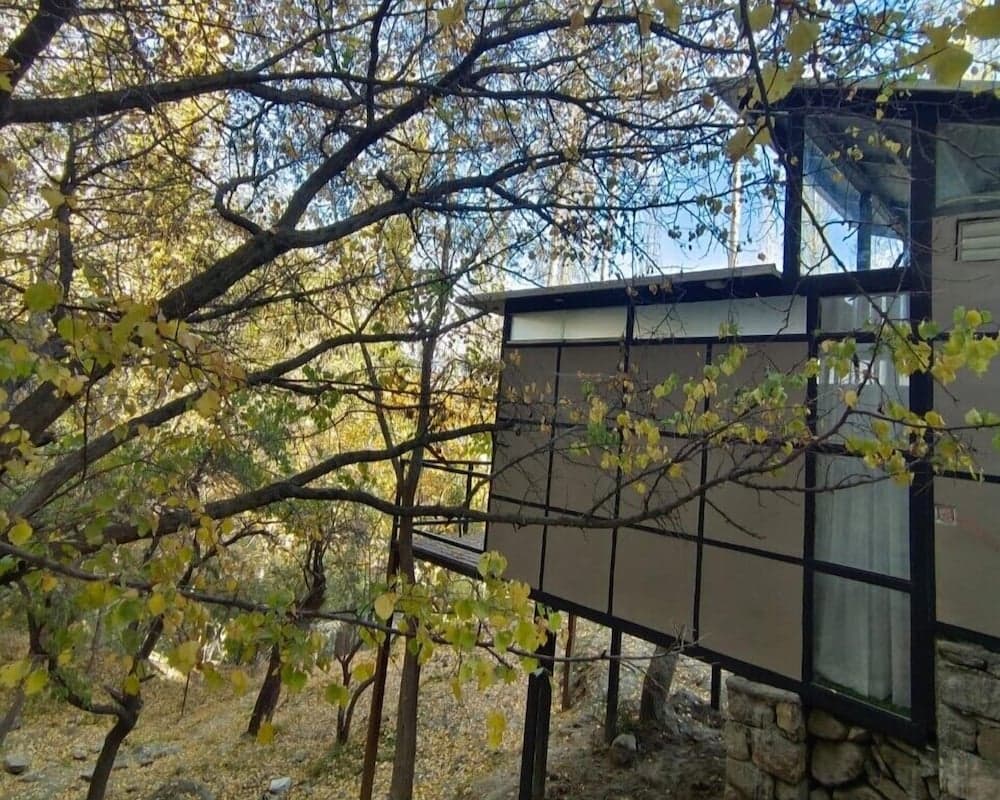 Zihin With Forest View - Cloud Nine And a Half