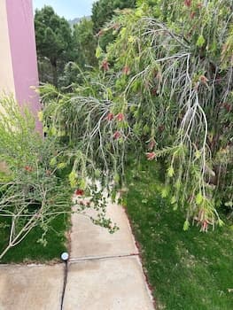 Mediterranean Sea Top Floor