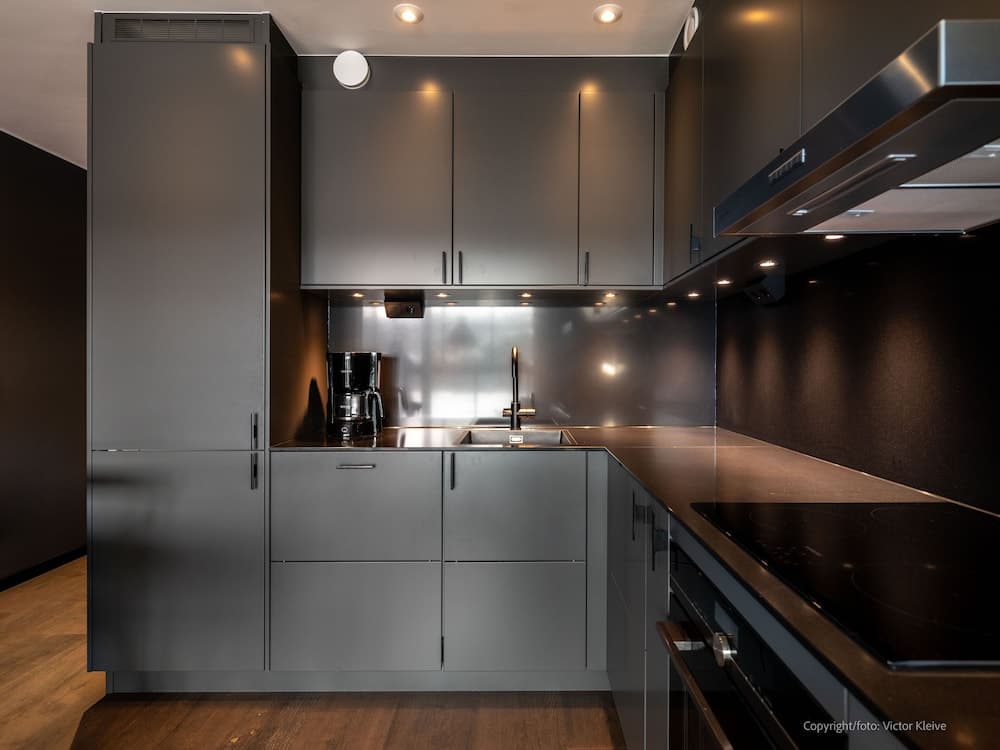 Stunning Apartment in View Are, Ski in - VM8 Lift