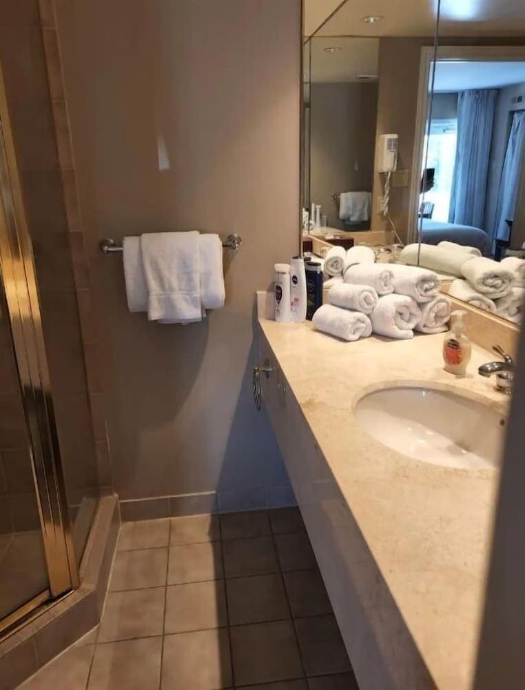 Luxury Cozy One Bedroom Studio