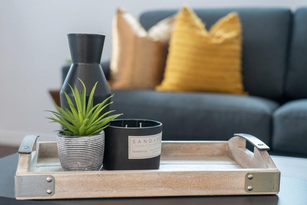 The Jurassic No Service Fees Backyard Patio