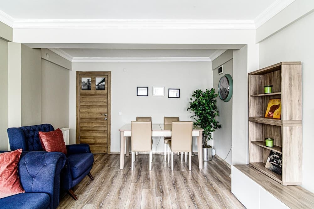 Fully Furnished and Stylish Flat in Sisli