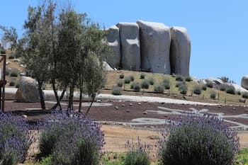 Montevalle Health & Wellness Resort