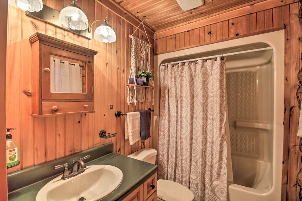 Remote Cabin Retreat By Blue Ridge Mtn Trails