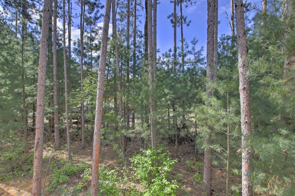 New-build Arkdale Cabin Near Castle Rock Lake