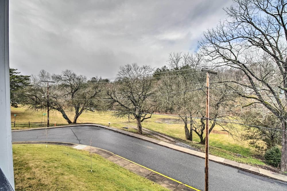 Laptop-friendly Lexington Condo w/ Free Wifi