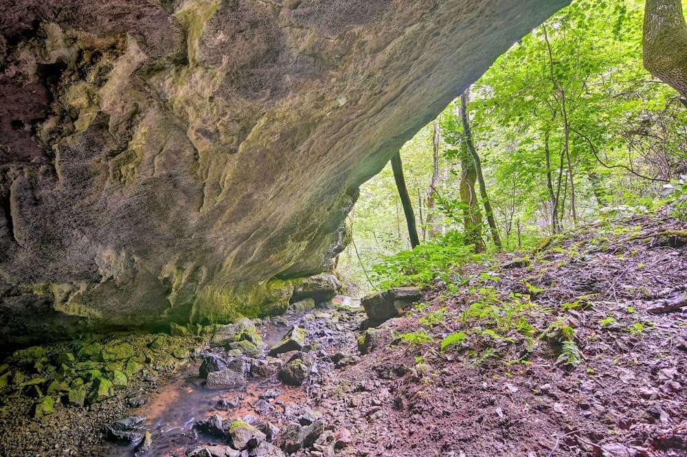 Private Pet-friendly Castlewood Cabin, Pond Views!