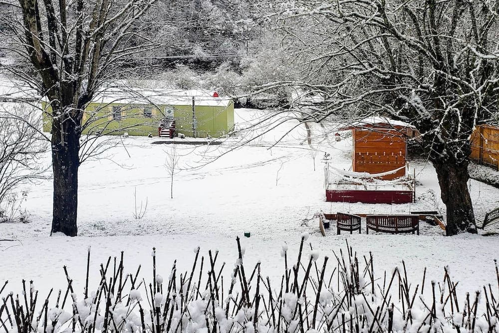 Bring a Pet: Smoky Mtn Vacation Rental w/ Yard!