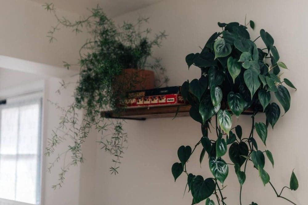 The Poppies - From 150 Per Night