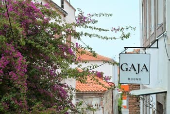 Gaja Ayvalik