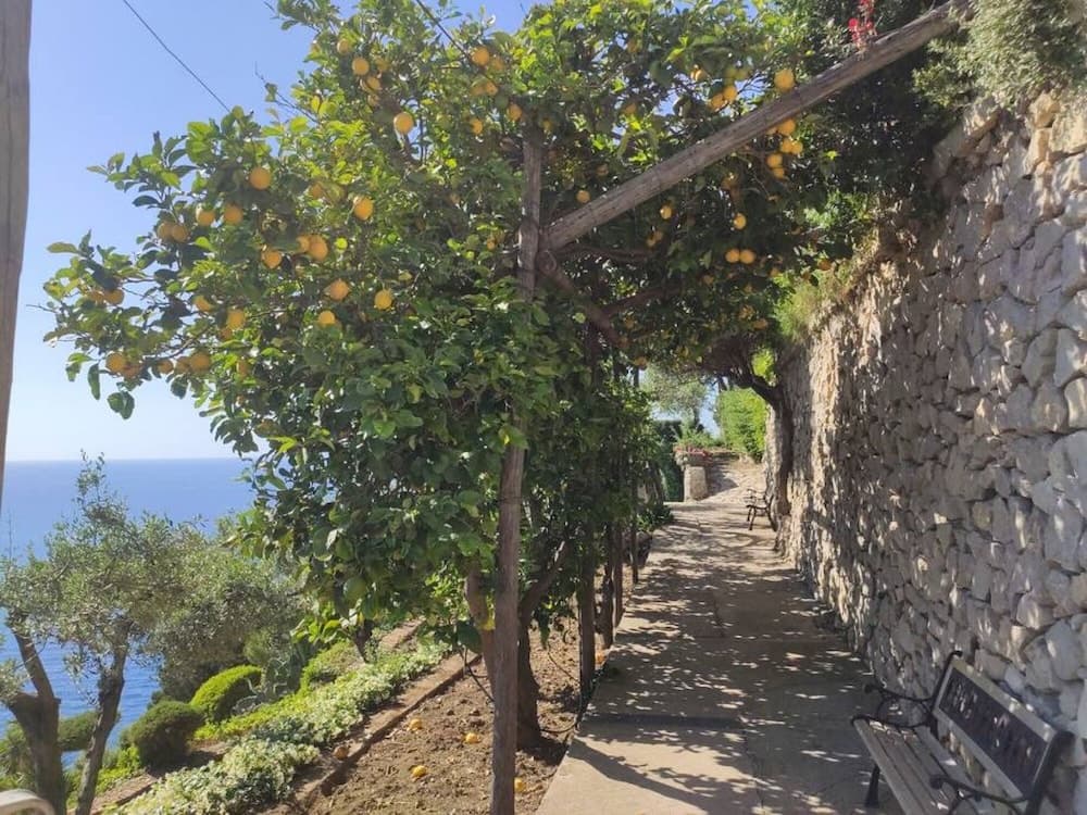 Casa Orrico - Blue Grotto - Camera Sea View Max 2 Pax