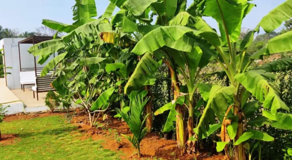 Privy Stays - Bherse Villa