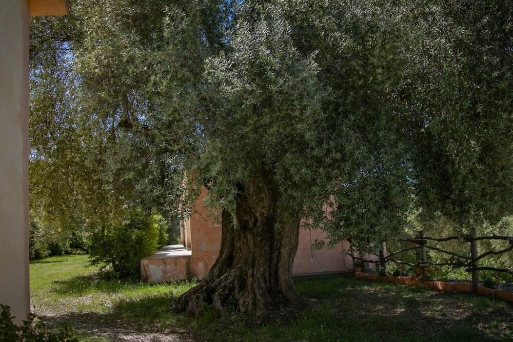 Welcomely - Country House Muristene- Iris