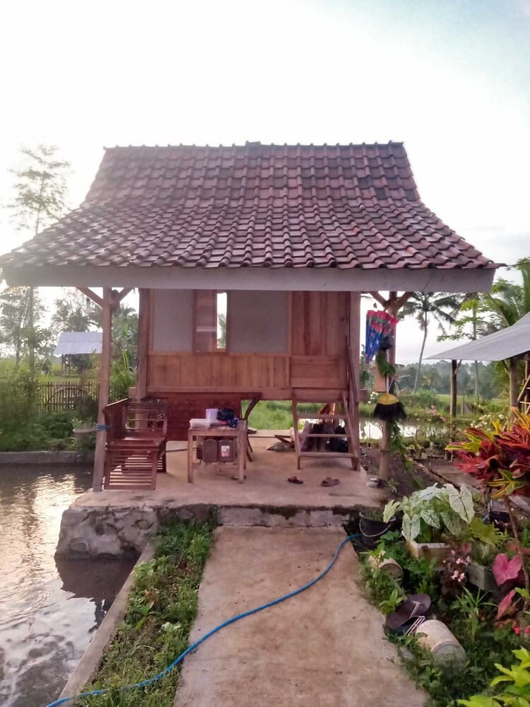 EXPRESS O 91901 Homestay Irish Irish