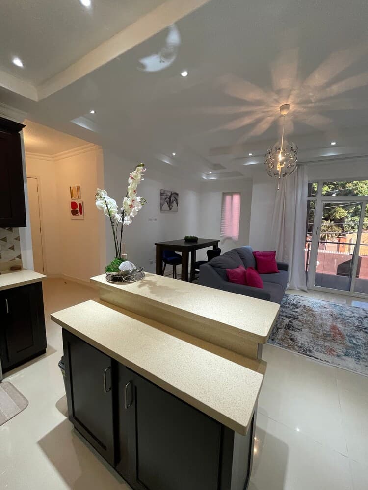 Immaculate- Liguanea 1br