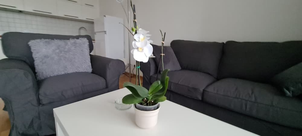 Features of Good And Night