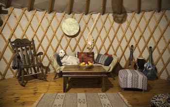 Yurt Located in a Little oak Grove Natural and a Private Experience