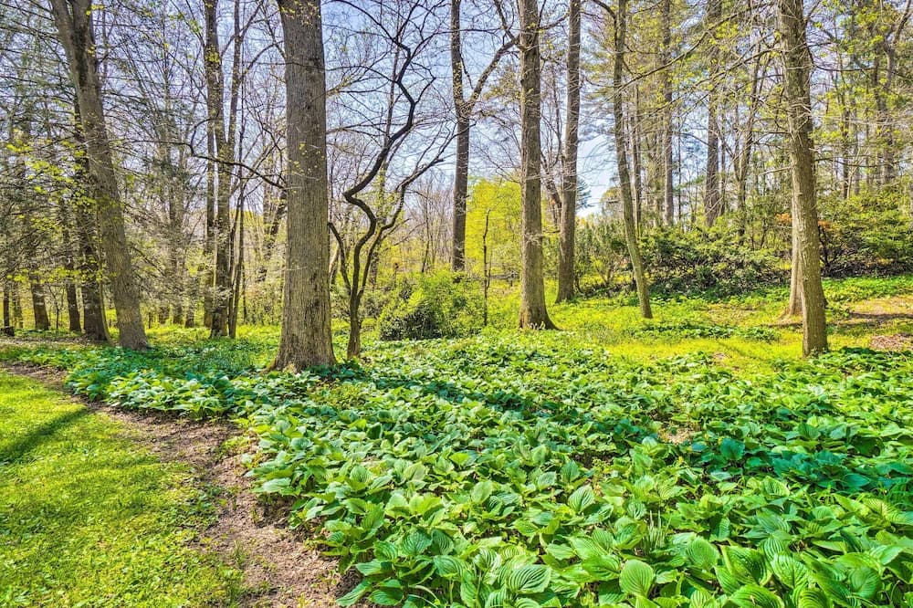 Dreamy Homestead Escape: Patio, Ranch On-site