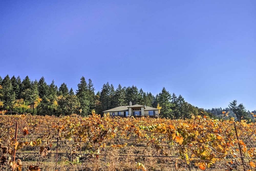 Chic Willamette Valley Home w/ Deck & Vineyard!