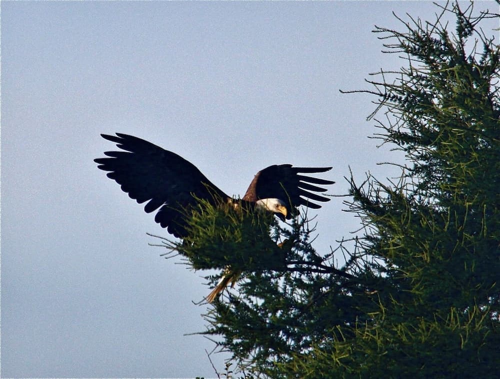 'dragonwood Castle' on Waterfront w/ Stunning View