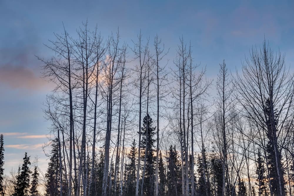 Cozy Soldotna Vacation Rental Near Kenai River!