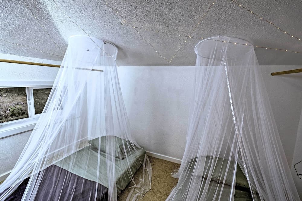 Quaint Lake Cushman Cottage w/ Private Access!