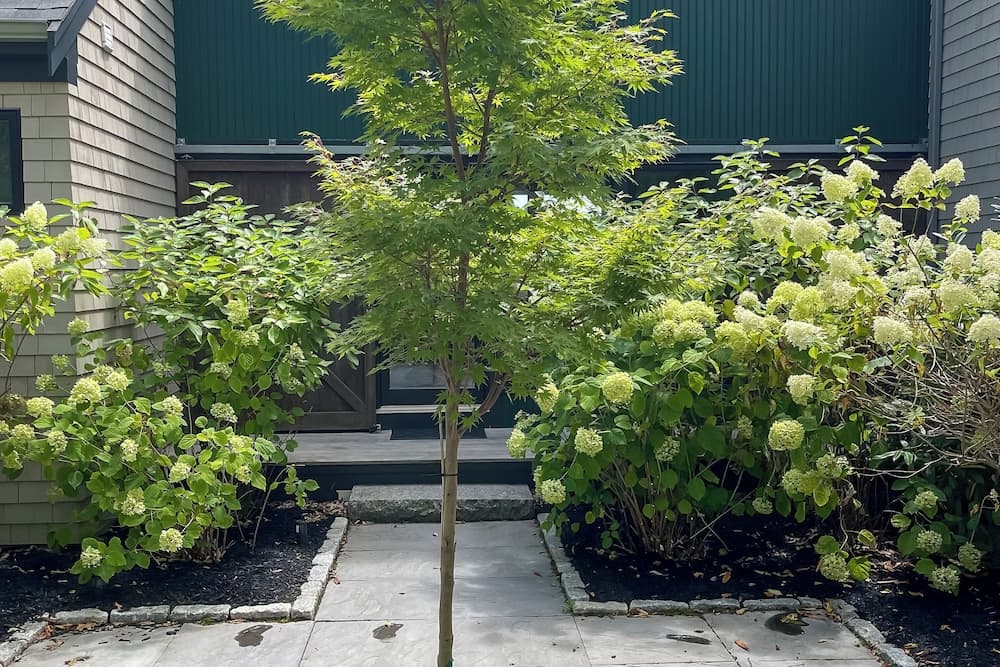 1 Mi to Ferry & Beach: Waterfront Hyannis Home!