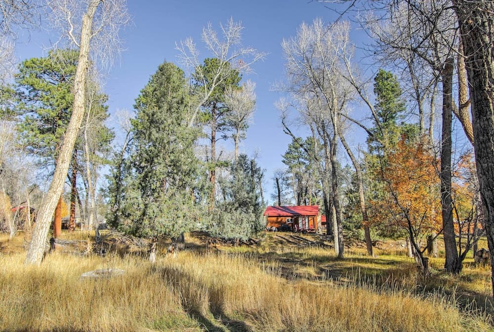Cozy Colorado Cabin w/ Deck, Grill & River Access!