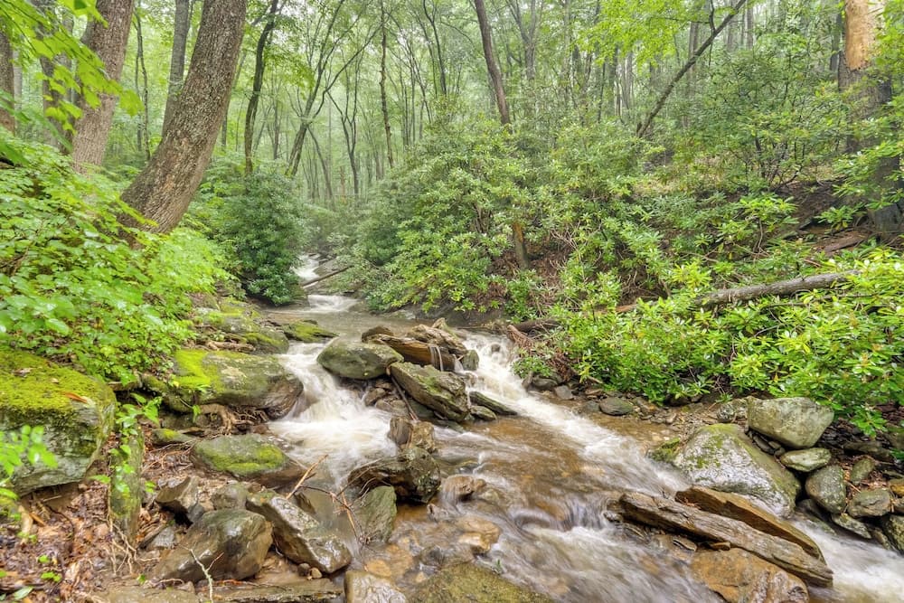 'lotsa Moose Lodge' Pisgah Forest Waterfall Cabin!