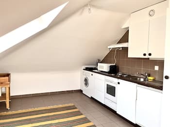 Service Loft in Central Geneva