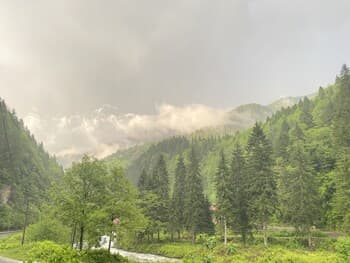 Nanus Ayder Apart ant Bungalow