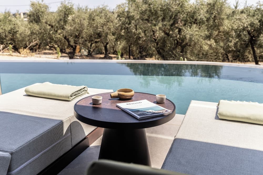 King Jason Zante – Designed for Adults