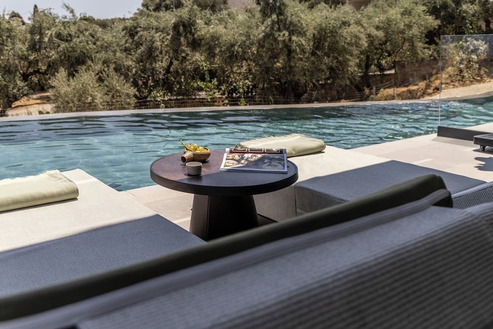 King Jason Zante – Designed for Adults