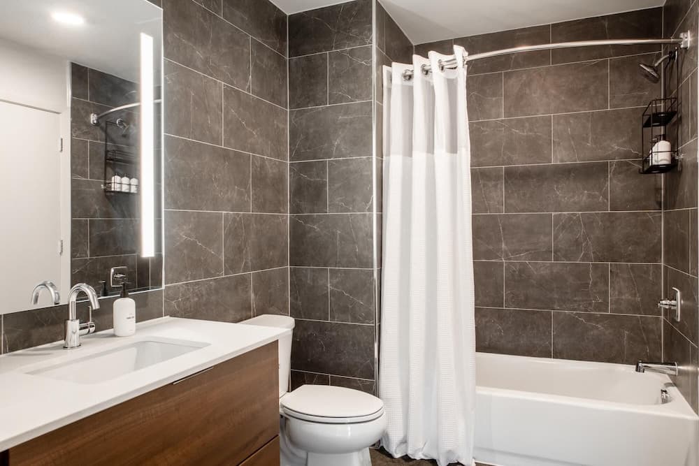 Austin Dazzling 1BD 1BA 2nd Street District Apartment