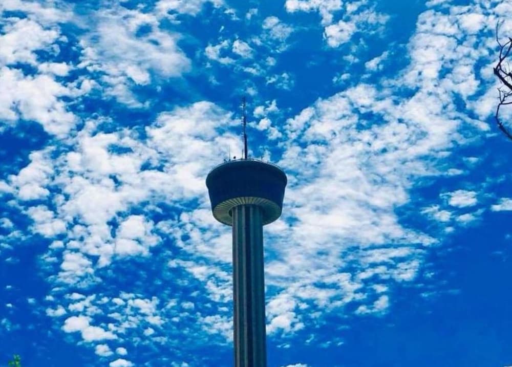 Cozy and Lovely 2BR 1BA Apt B Near Lively Downtown