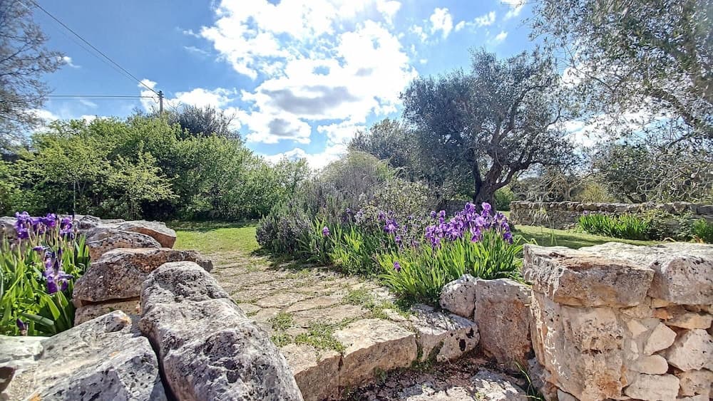 Cis002 in Cisternino