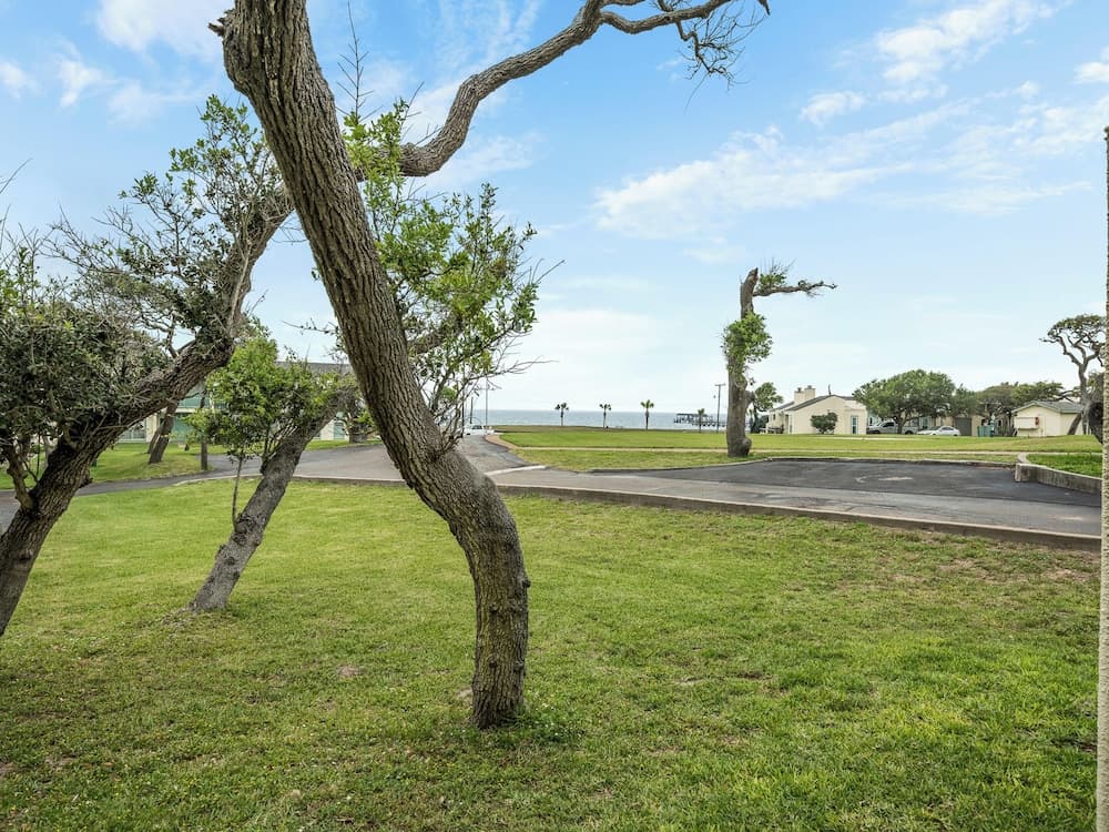 Sailing Windward by Miss Kitty’s