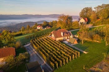 Vineyard Cottage Hočevar With Sauna